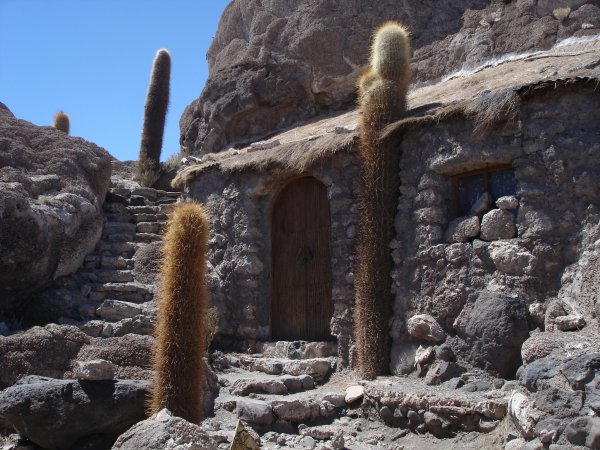 Co dělat, když vám uprostřed domu začne růst kaktus? Jednoduše postavíte zeď kolem něj.